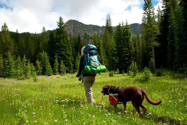 Backpacking in the Pintler-Anaconda Wilderness.