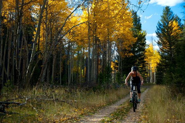 Mountain biking in Thompson Park